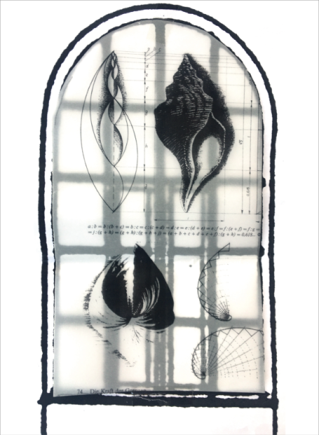 Neugestaltung Naturkundemuseum&nbsp;
Mauritianum Altenburg