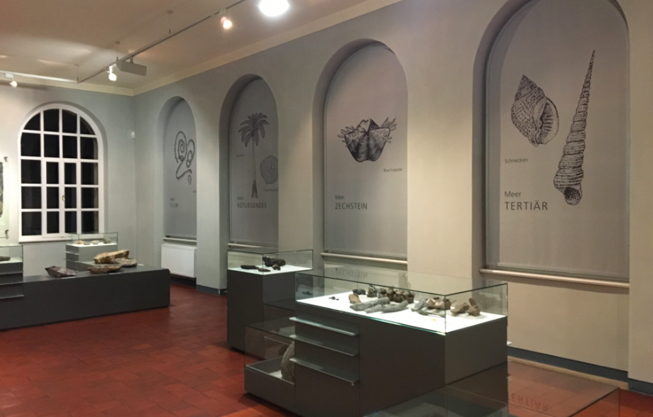 Neugestaltung Naturkundemuseum
Mauritianum Altenburg